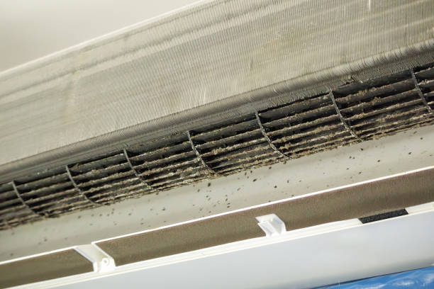 Best Commercial Air Duct Cleaning  in Lake Hallie, WI